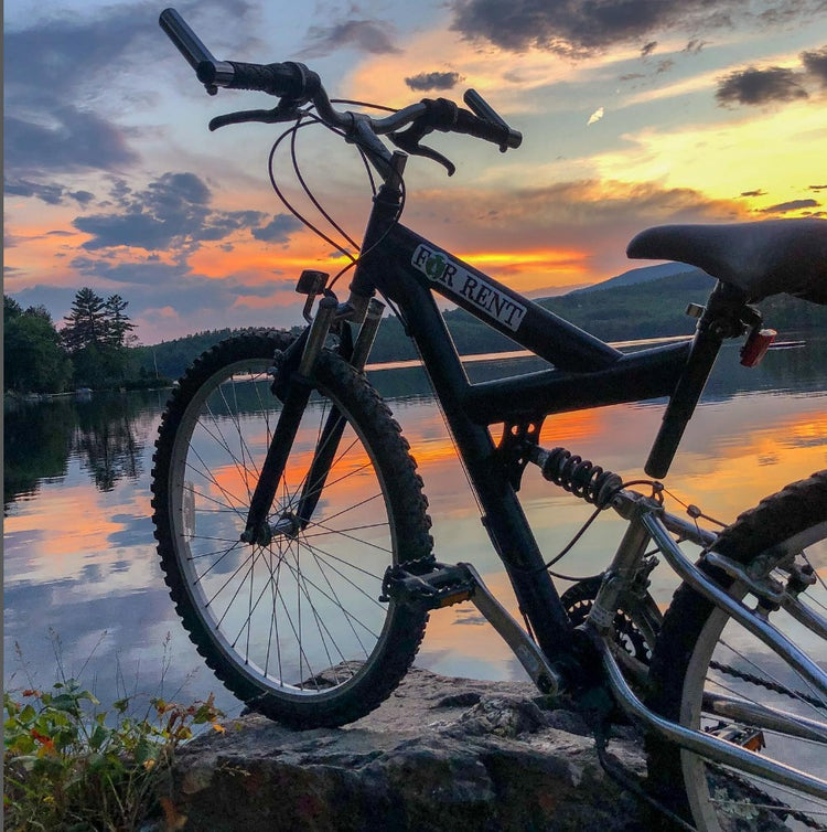 Pavement Bikes