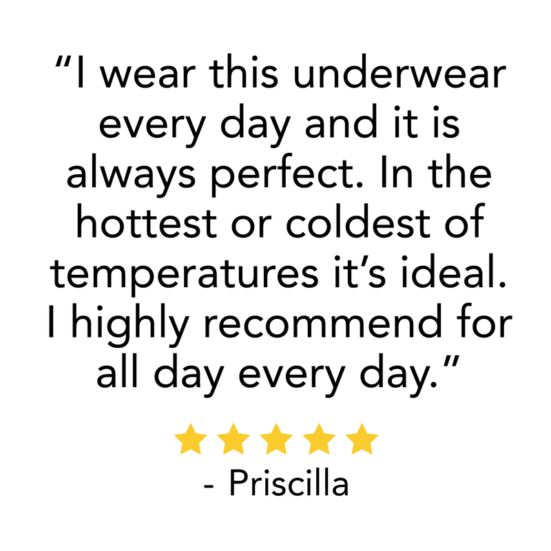 Load image into Gallery viewer, Microweight - Women's Wool Boyshorts Woolverino