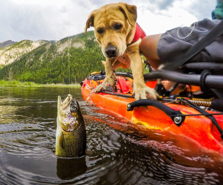 FISHING