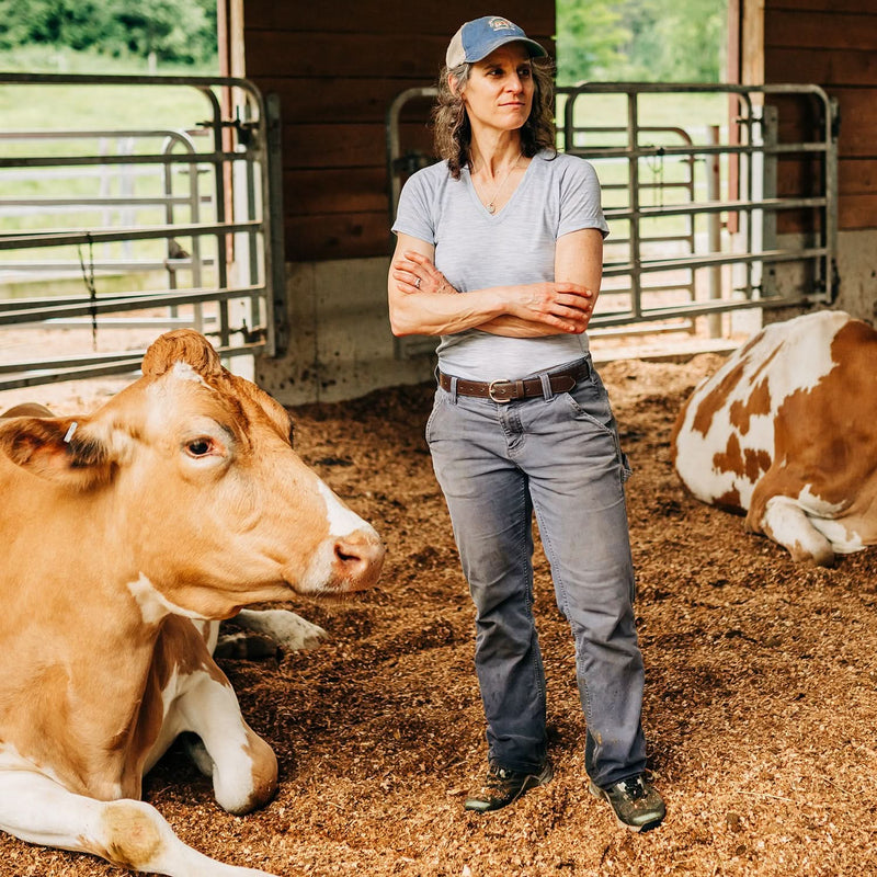 Load image into Gallery viewer, Microweight - Women's Wool V-Neck T-Shirt Woolverino