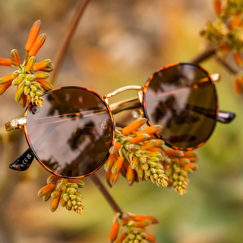 Load image into Gallery viewer, No Alibi Love & Haights