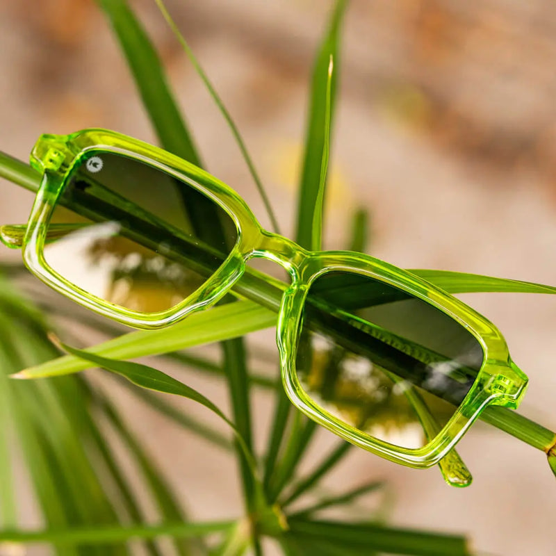 Load image into Gallery viewer, Pucker Up Panoramas