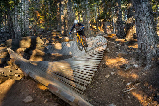 Surly Karate Monkey Bike