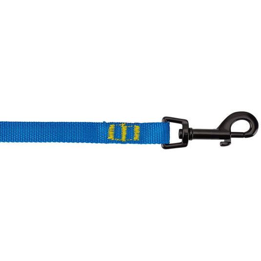 Dog Leash