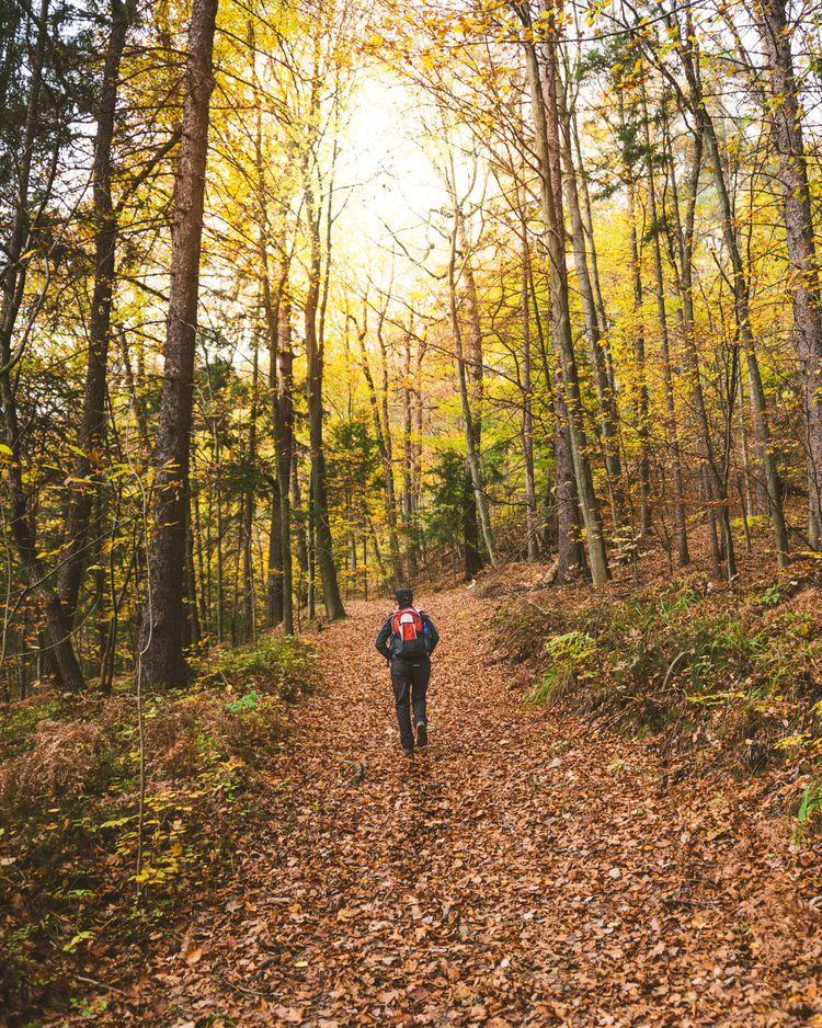 Fall Hiking Tips