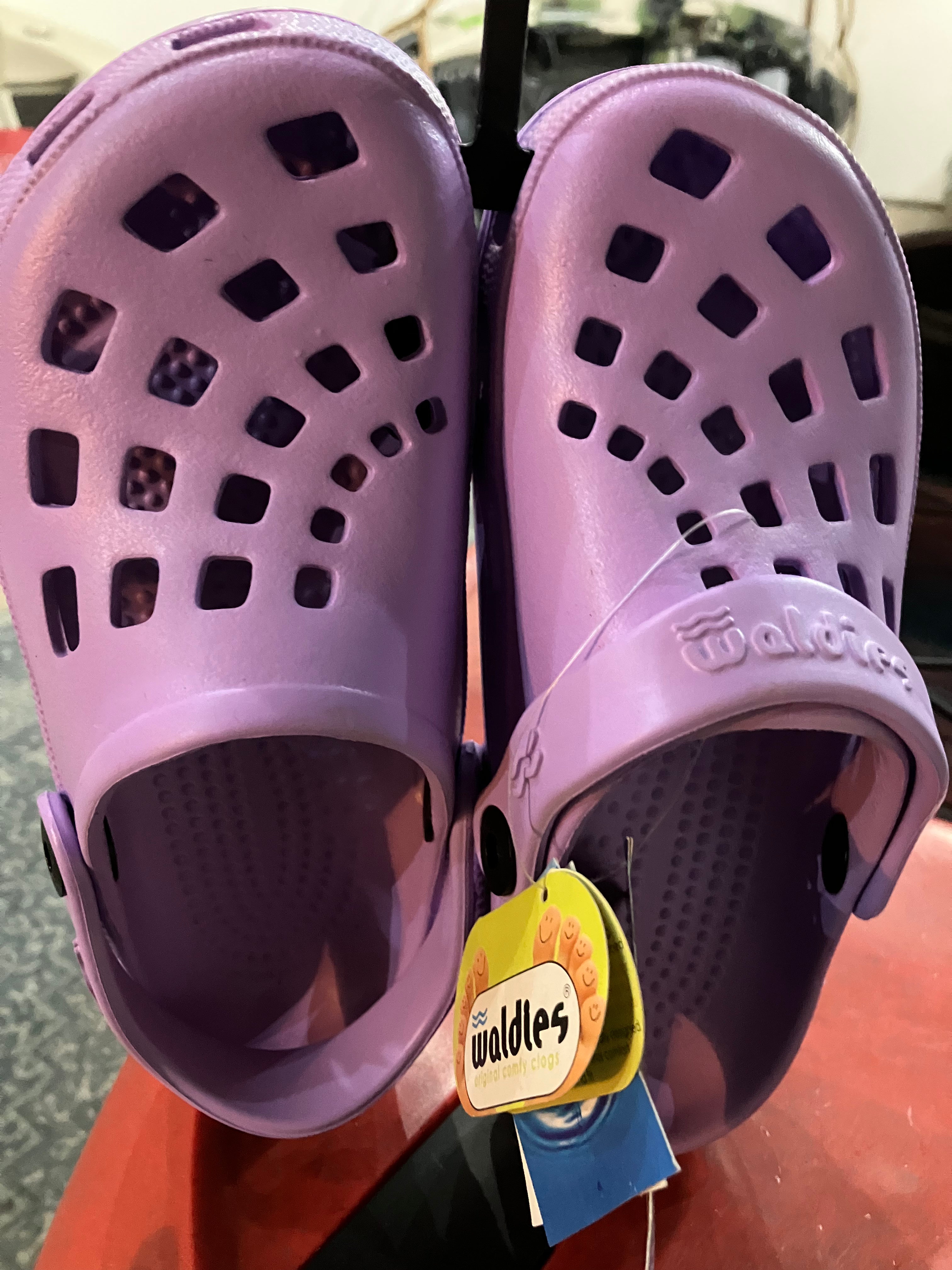 Waldies clogs 2025