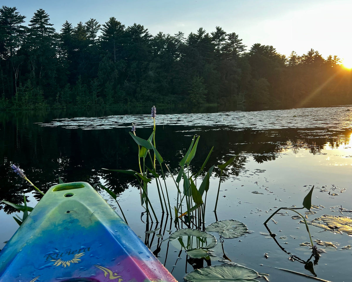 Kayak on a lake with trees and sunset in the background