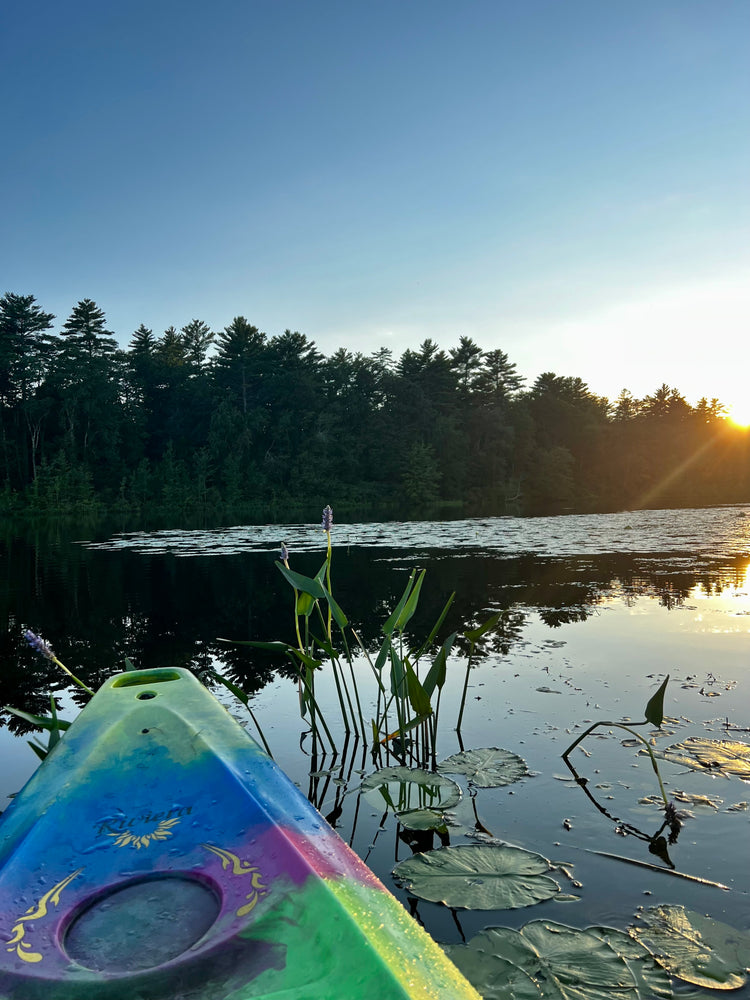 Kayak on a lake with trees and sunset in the background