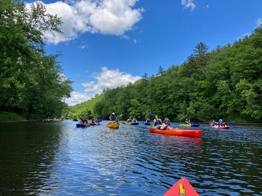 Outdoor New England has kayaks and stand up paddleboards available for rent all summer long. 