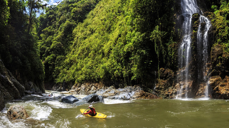 Kayak in the Jungle