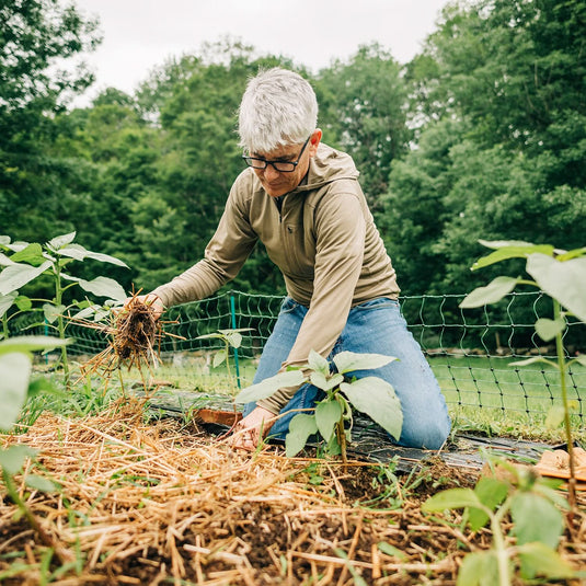 Microweight - Men's Wool 1/4 Zip Sun Hoodie Woolverino