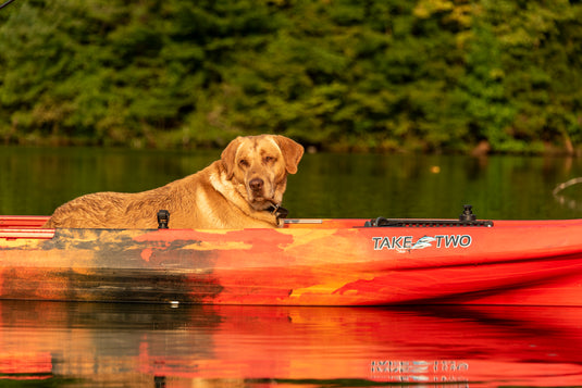 2023 TakeTwo Recreational Kayak with dog
