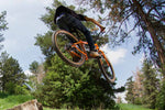 Surly Lowside Bike